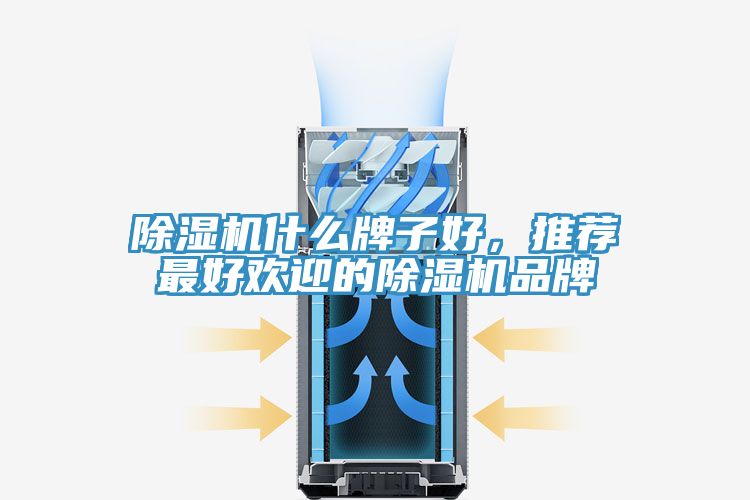 除濕機(jī)什么牌子好，推薦最好歡迎的除濕機(jī)品牌