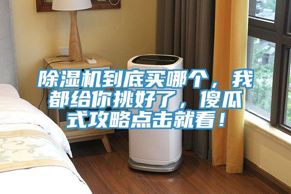 除濕機到底買哪個，我都給你挑好了，傻瓜式攻略點擊就看！