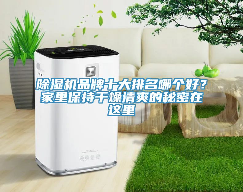 除濕機(jī)品牌十大排名哪個(gè)好？家里保持干燥清爽的秘密在這里
