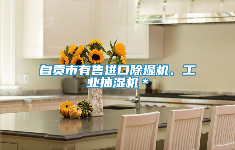 自貢市有售進口除濕機、工業(yè)抽濕機＊