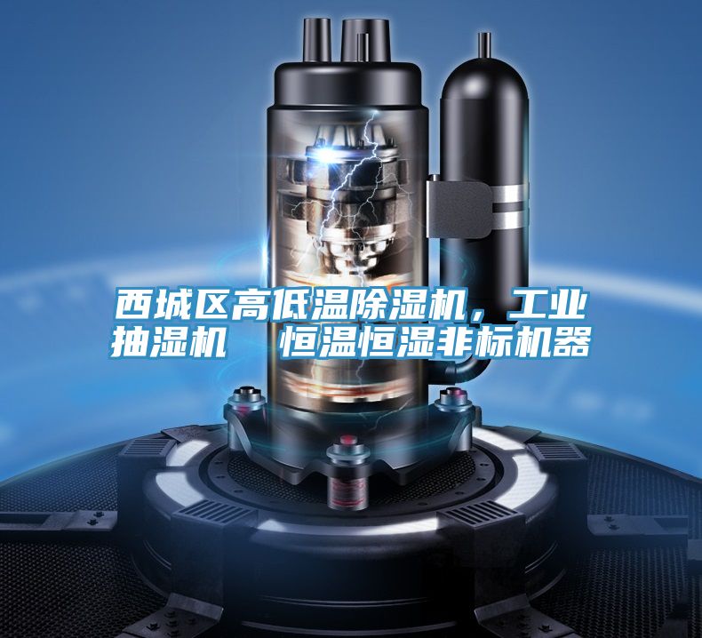 西城區(qū)高低溫除濕機，工業(yè)抽濕機  恒溫恒濕非標機器