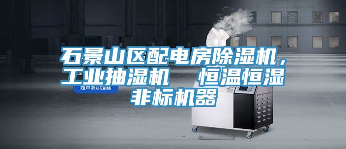 石景山區(qū)配電房除濕機，工業(yè)抽濕機  恒溫恒濕非標(biāo)機器