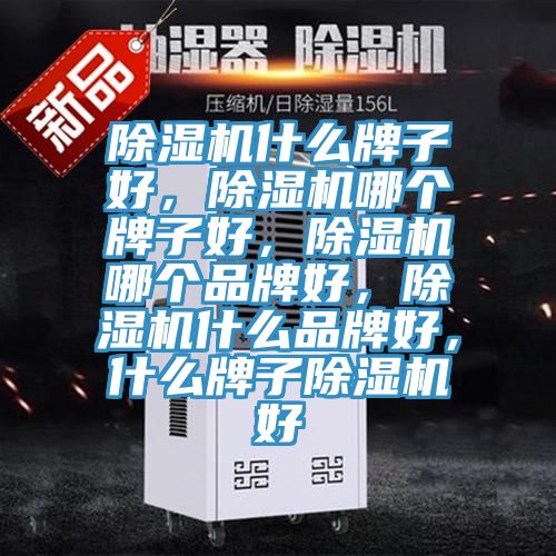 除濕機(jī)什么牌子好，除濕機(jī)哪個(gè)牌子好，除濕機(jī)哪個(gè)品牌好，除濕機(jī)什么品牌好，什么牌子除濕機(jī)好