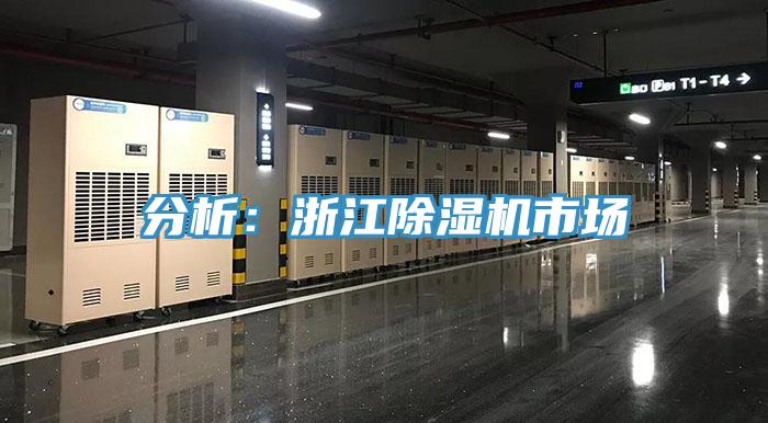 分析：浙江除濕機(jī)市場(chǎng)