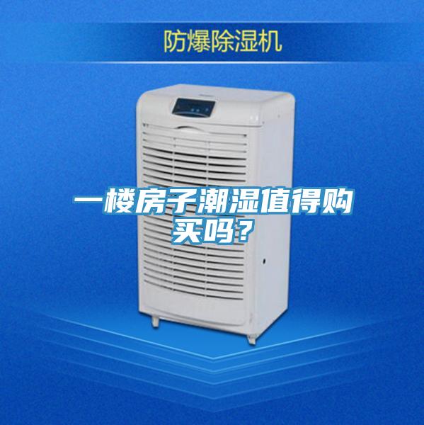 一樓房子潮濕值得購買嗎？