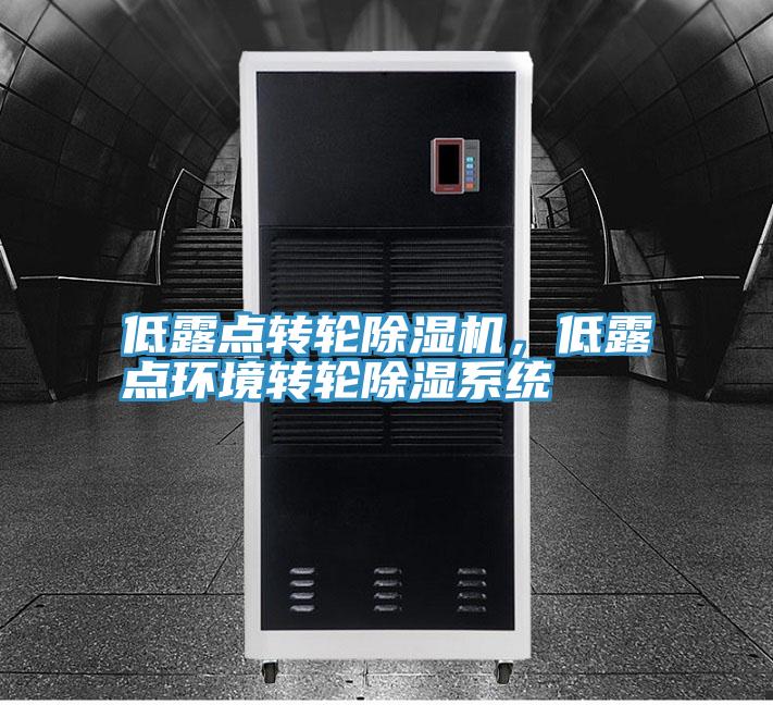 低露點轉輪除濕機，低露點環(huán)境轉輪除濕系統(tǒng)