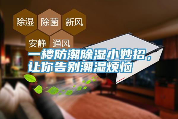 一樓防潮除濕小妙招，讓你告別潮濕煩惱