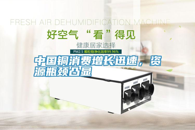 中國(guó)銅消費(fèi)增長(zhǎng)迅速，資源瓶頸凸顯