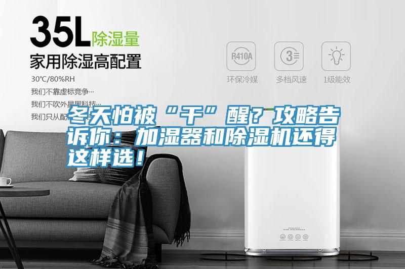 冬天怕被“干”醒？攻略告訴你：加濕器和除濕機還得這樣選！