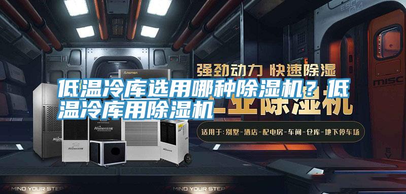 低溫冷庫選用哪種除濕機(jī)？低溫冷庫用除濕機(jī)