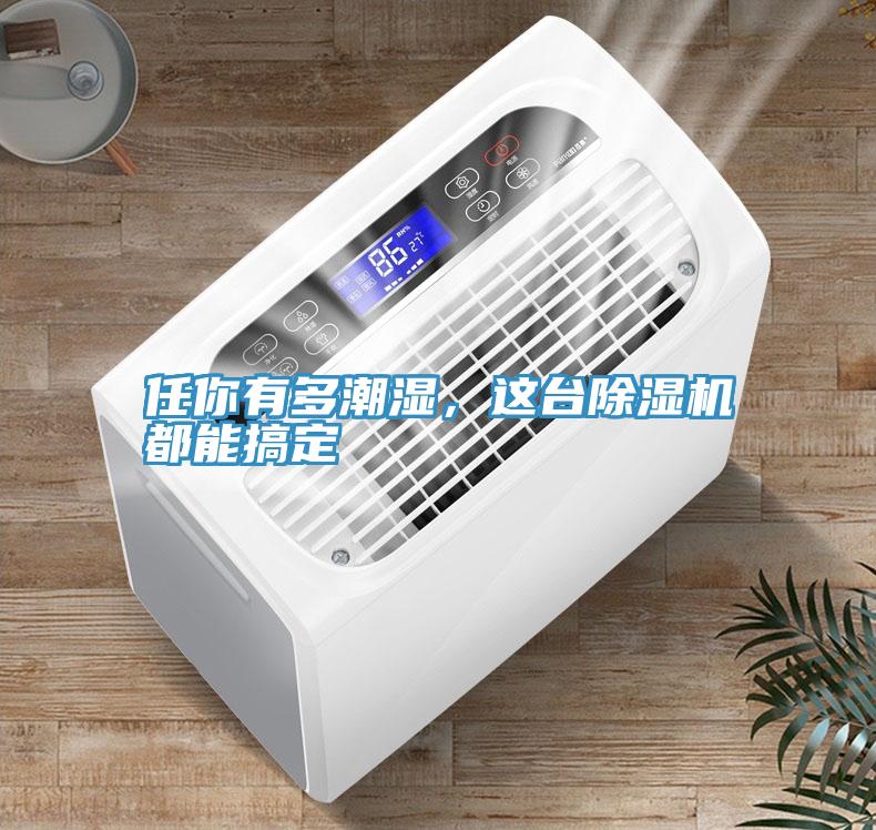 任你有多潮濕，這臺除濕機(jī)都能搞定