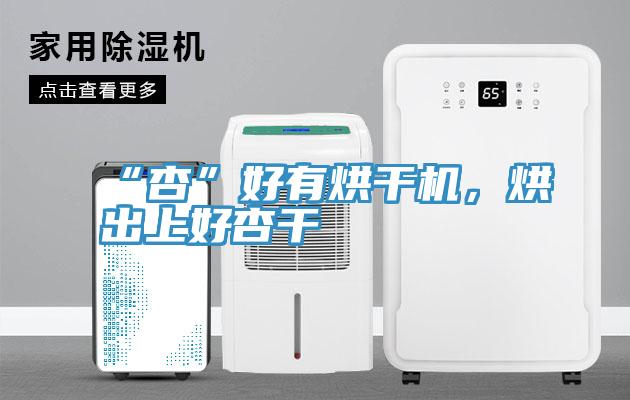 “杏”好有烘干機，烘出上好杏干