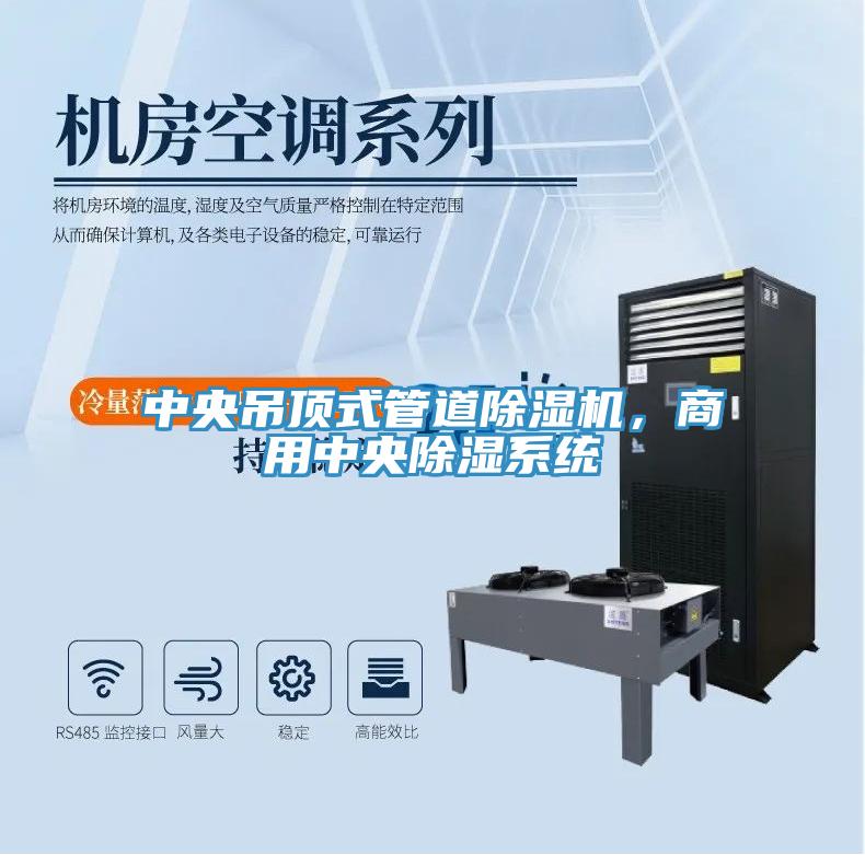 中央吊頂式管道除濕機(jī)，商用中央除濕系統(tǒng)
