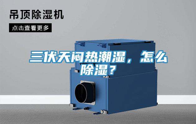 三伏天悶熱潮濕，怎么除濕？