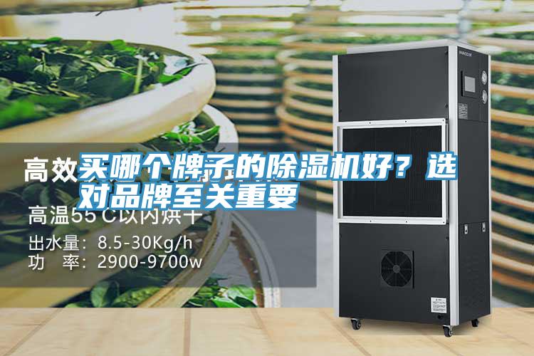 買哪個牌子的除濕機好？選對品牌至關(guān)重要