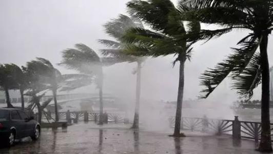 8月臺(tái)風(fēng)雨即將來(lái)，除濕機(jī)還得用起來(lái)