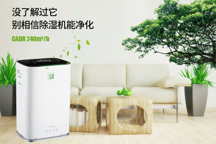 一到回南天狗狗就感冒+皮膚病，怎么辦？