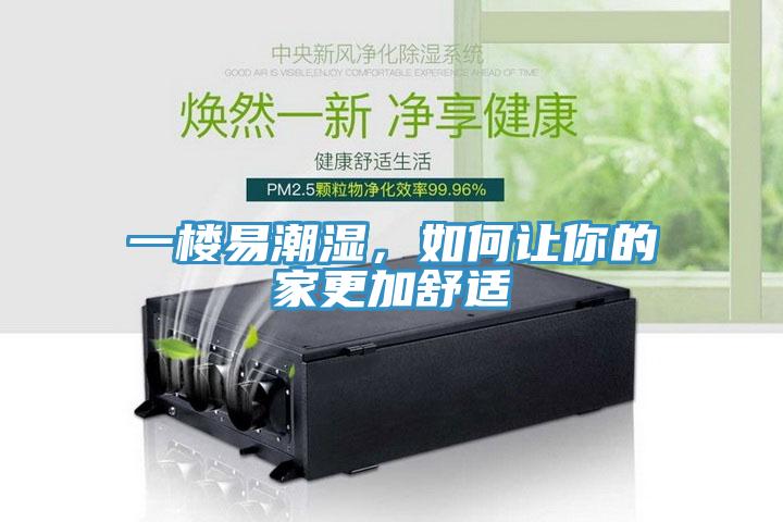 一樓易潮濕，如何讓你的家更加舒適