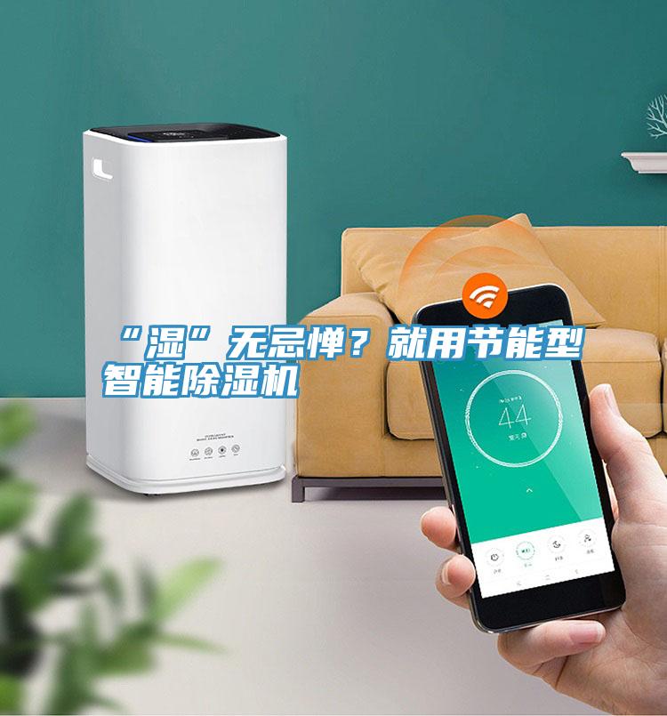 “濕”無忌憚？就用節(jié)能型智能除濕機
