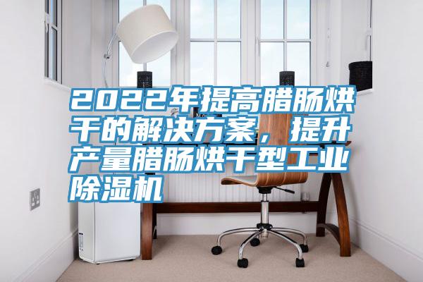 2022年提高臘腸烘干的解決方案，提升產(chǎn)量臘腸烘干型工業(yè)除濕機