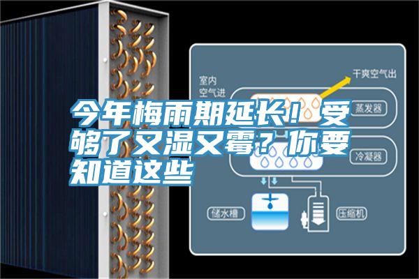 今年梅雨期延長！受夠了又濕又霉？你要知道這些