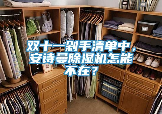 雙十一剁手清單中，安詩(shī)曼除濕機(jī)怎能不在？