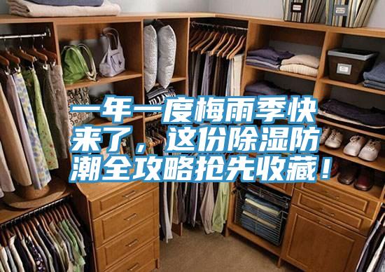 一年一度梅雨季快來了，這份除濕防潮全攻略搶先收藏！