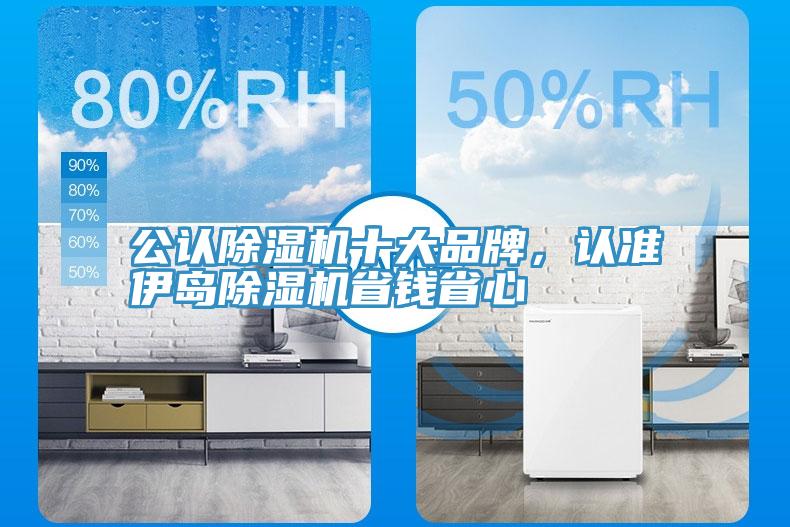 公認(rèn)除濕機(jī)十大品牌，認(rèn)準(zhǔn)伊島除濕機(jī)省錢省心