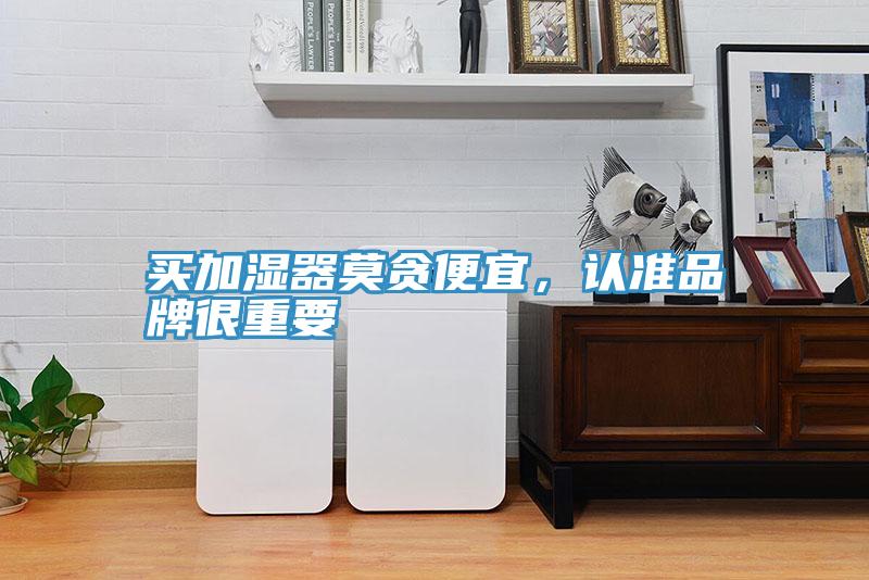 買加濕器莫貪便宜，認準品牌很重要
