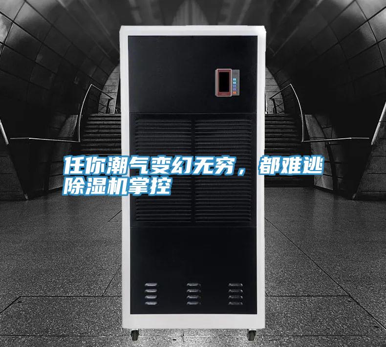 任你潮氣變幻無窮，都難逃除濕機掌控