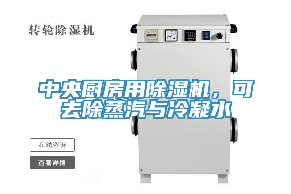 中央廚房用除濕機(jī)，可去除蒸汽與冷凝水
