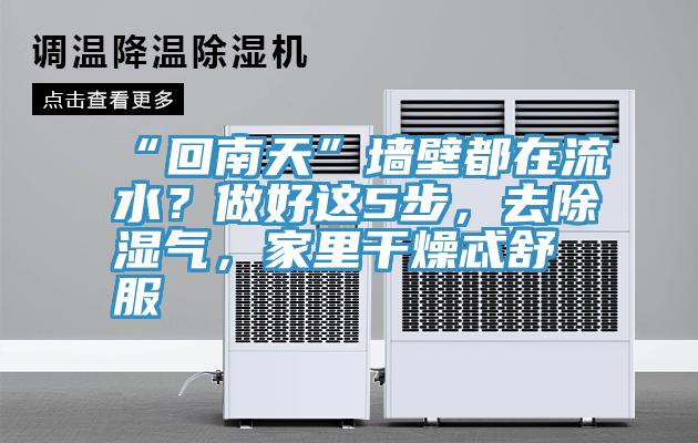 “回南天”墻壁都在流水？做好這5步，去除濕氣，家里干燥忒舒服
