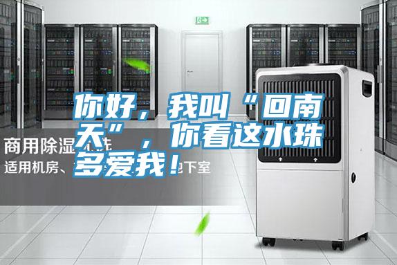 你好，我叫“回南天”，你看這水珠多愛我！