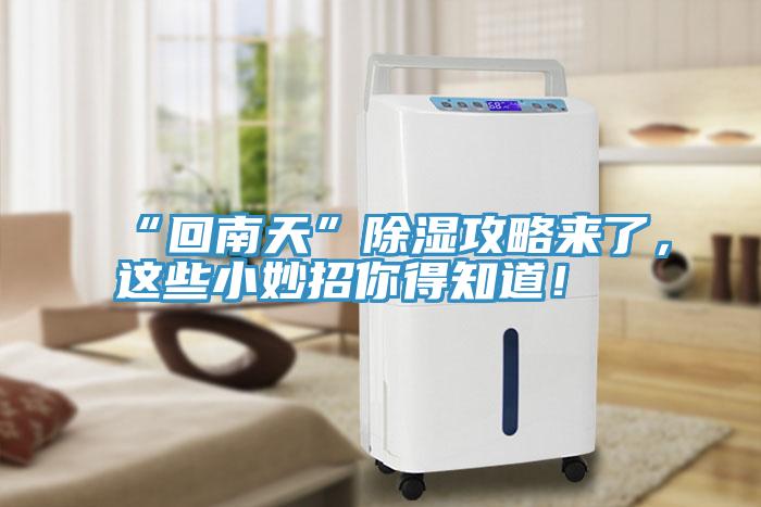 “回南天”除濕攻略來了，這些小妙招你得知道！