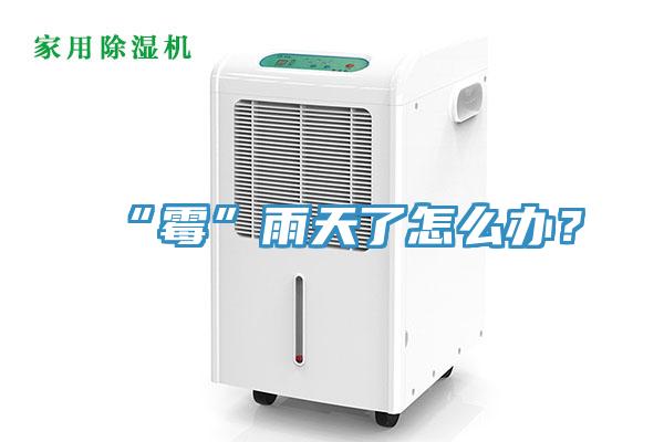 “霉”雨天了怎么辦？