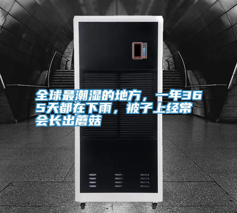 全球最潮濕的地方，一年365天都在下雨，被子上經(jīng)常會長出蘑菇