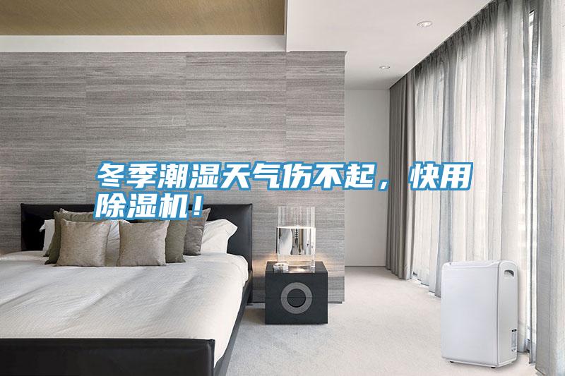 冬季潮濕天氣傷不起，快用除濕機(jī)！