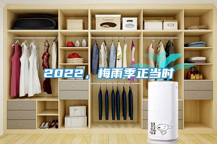 2022，梅雨季正當(dāng)時(shí)