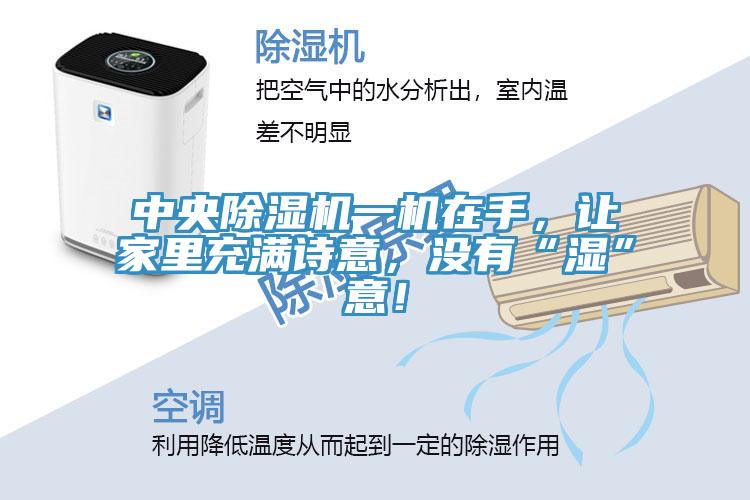 中央除濕機(jī)一機(jī)在手，讓家里充滿詩意，沒有“濕”意！