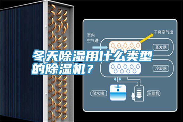 冬天除濕用什么類型的除濕機？