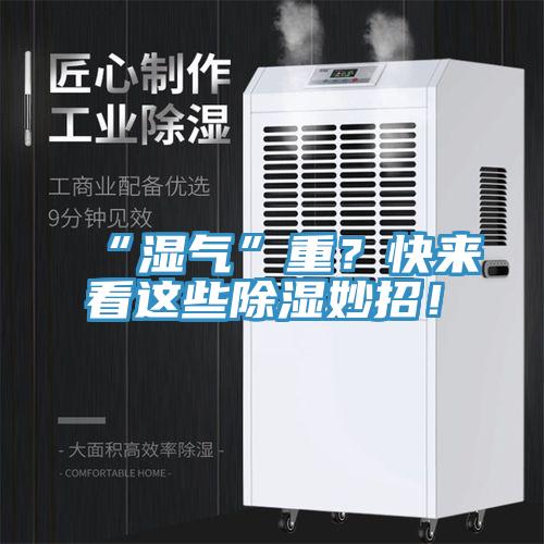 “濕氣”重？快來看這些除濕妙招！