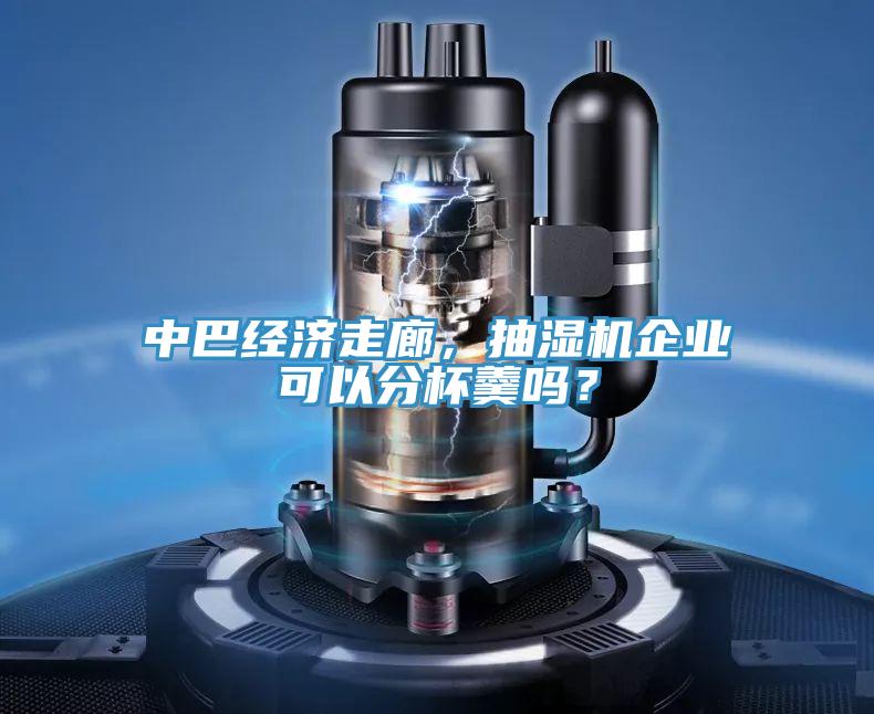 中巴經濟走廊，抽濕機企業(yè)可以分杯羹嗎？