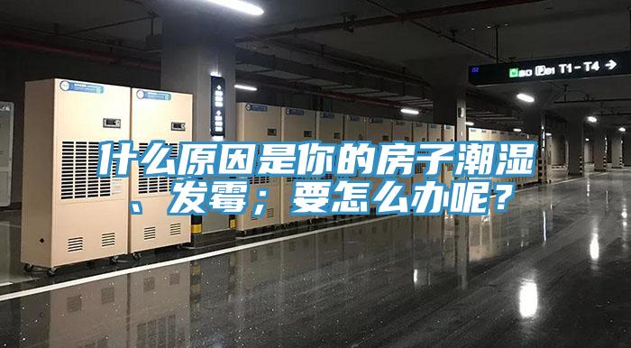 什么原因是你的房子潮濕、發(fā)霉；要怎么辦呢？
