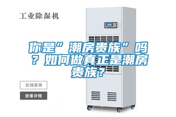 你是”潮房貴族”嗎？如何做真正是潮房貴族？
