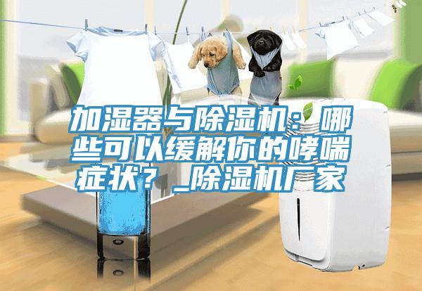 加濕器與除濕機：哪些可以緩解你的哮喘癥狀？_除濕機廠家