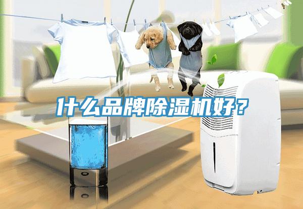 什么品牌除濕機(jī)好？