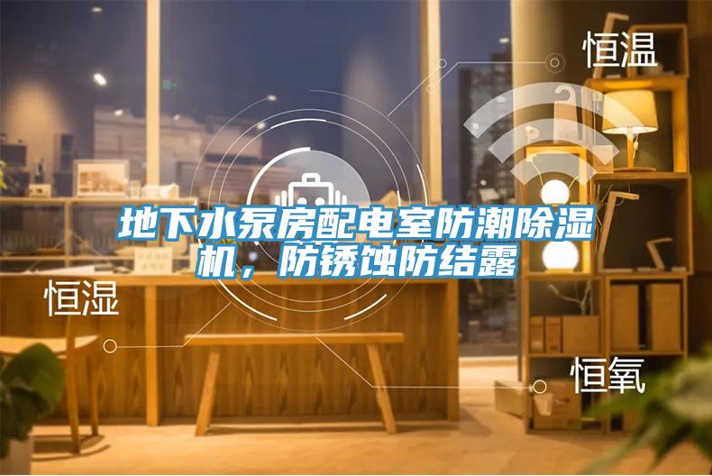 地下水泵房配電室防潮除濕機，防銹蝕防結露