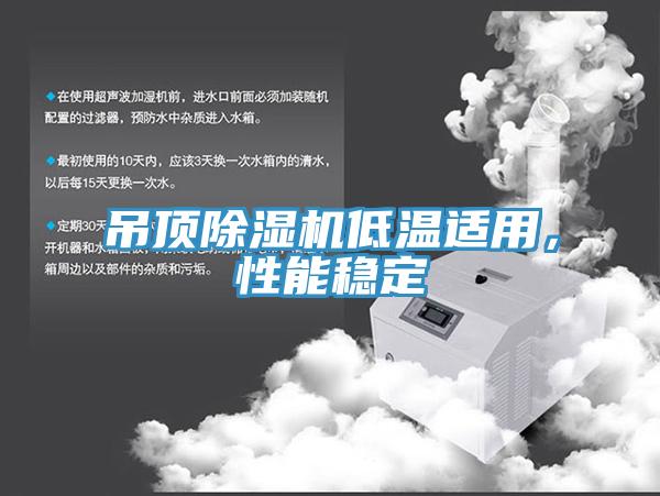 吊頂除濕機低溫適用，性能穩(wěn)定