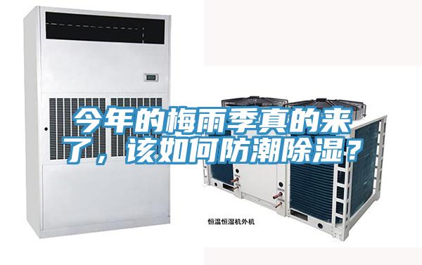 今年的梅雨季真的來了，該如何防潮除濕？