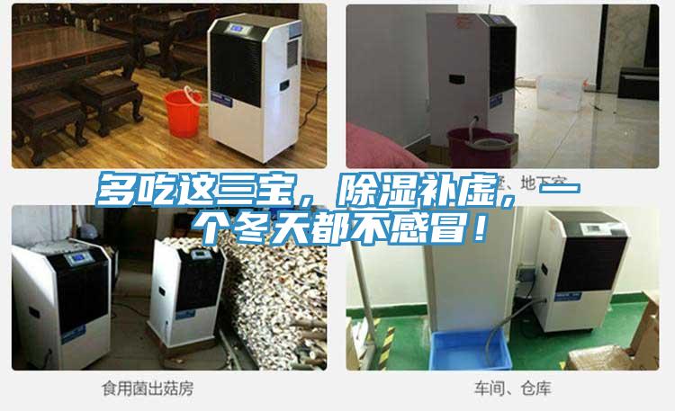 多吃這三寶，除濕補虛，一個冬天都不感冒！